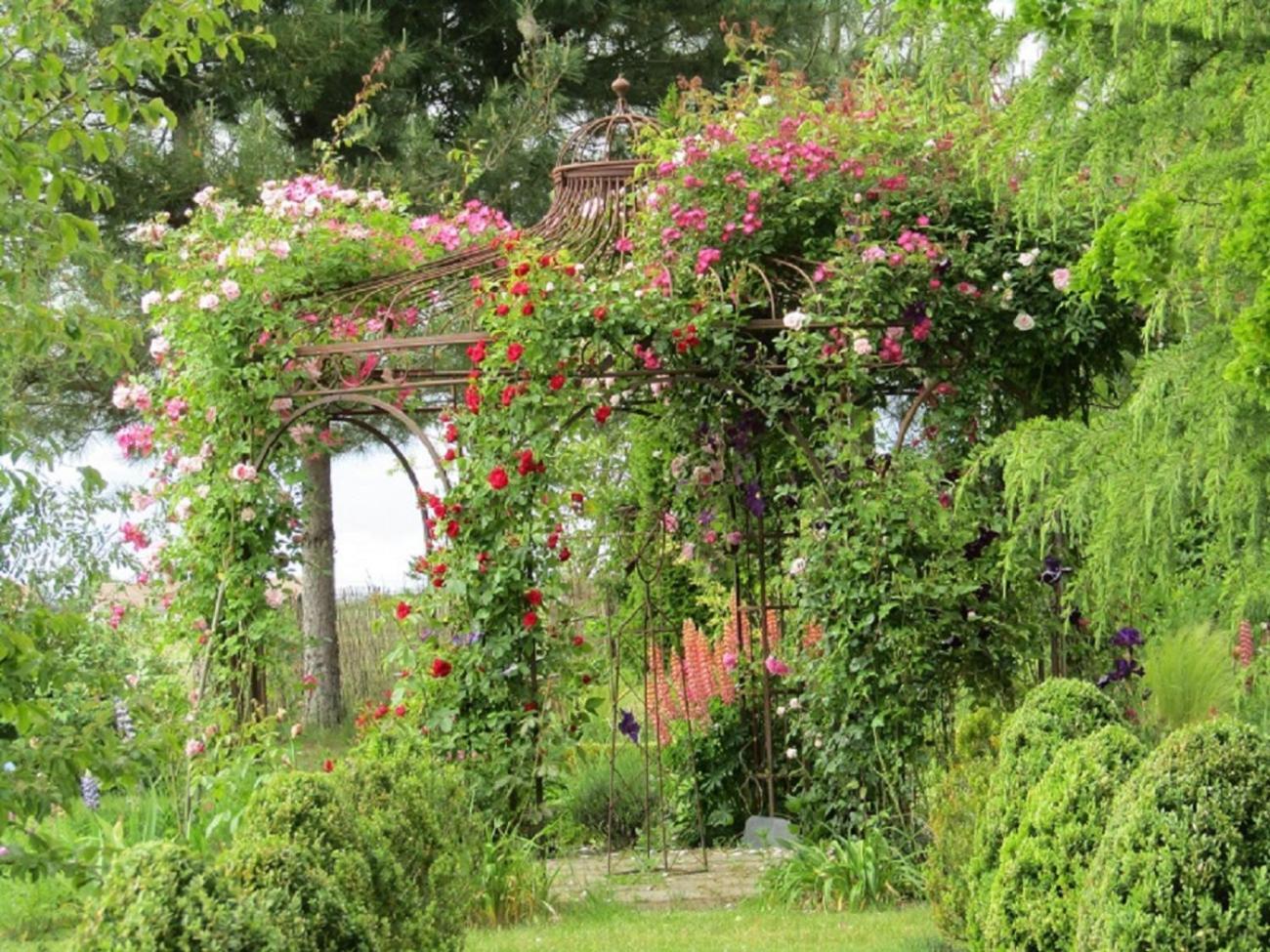 Chambre D Hotes La Barriere Channay-sur-Lathan Buitenkant foto